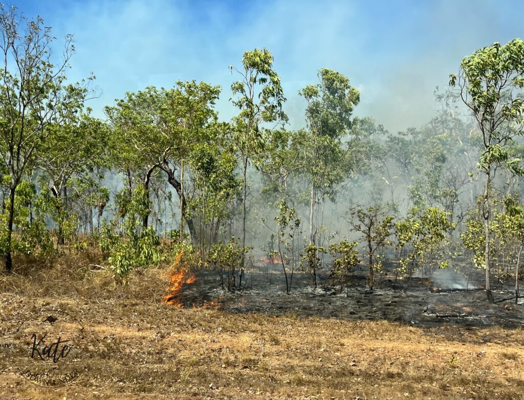 Controlled burn in progress