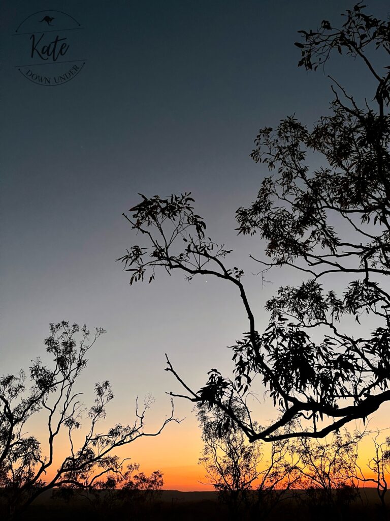 The sky becoming light with various trees' silhouettes in the foreground