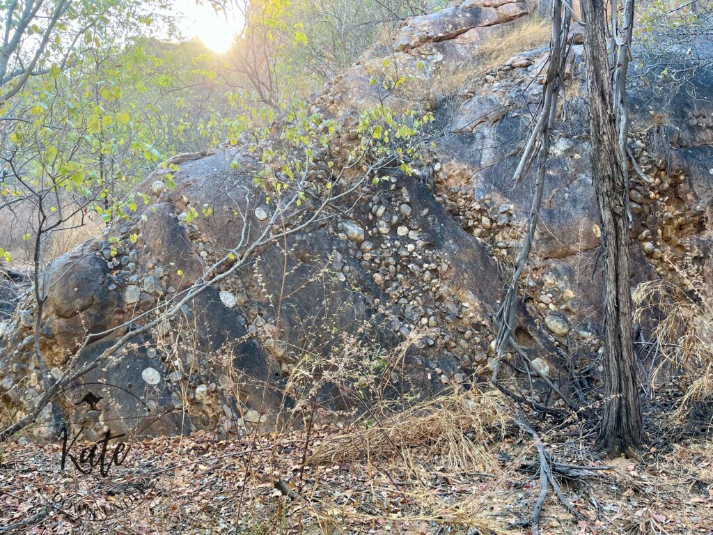 Conglomerate rock layers at Nitmiluk Gorge