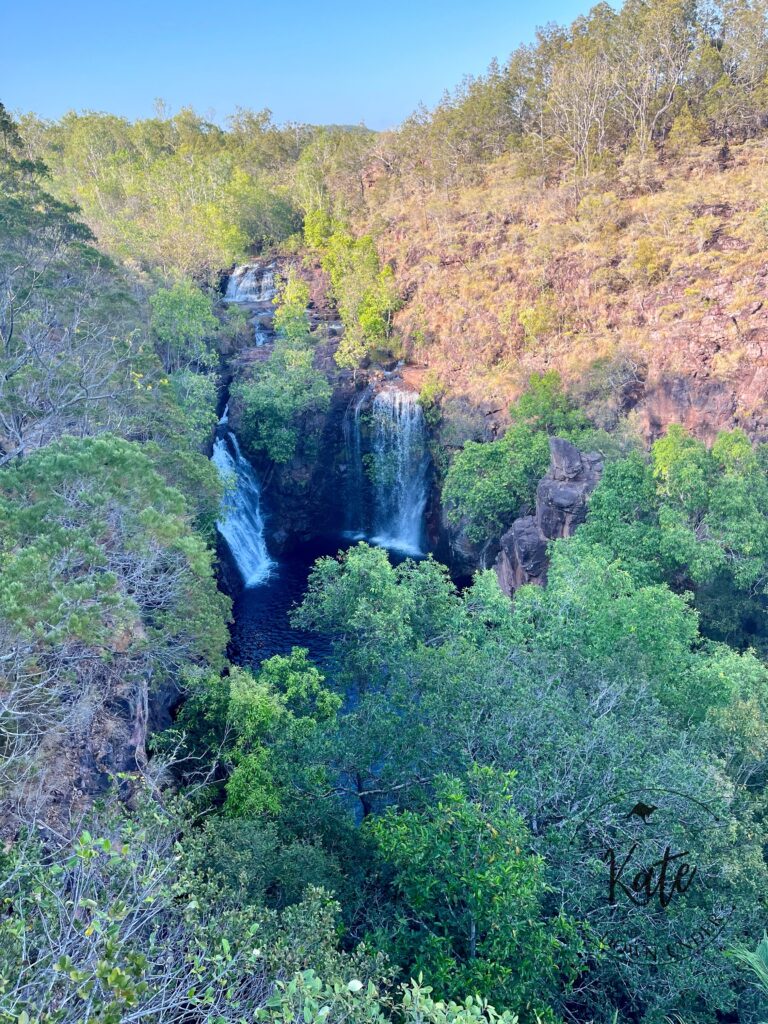 florence falls as viewed from the trail down from the car park during the dry season