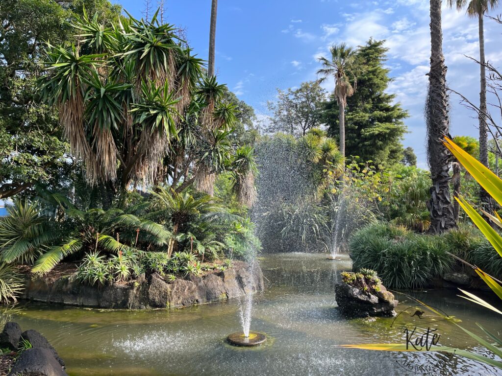 a water fountain at Williamstown Botanic Gardens