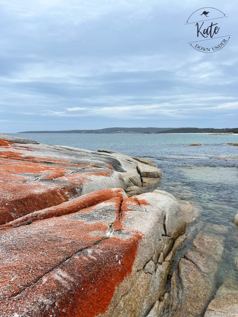 Some orange lichen on the rocks on the shore of the Bay of Fires in Tasmania