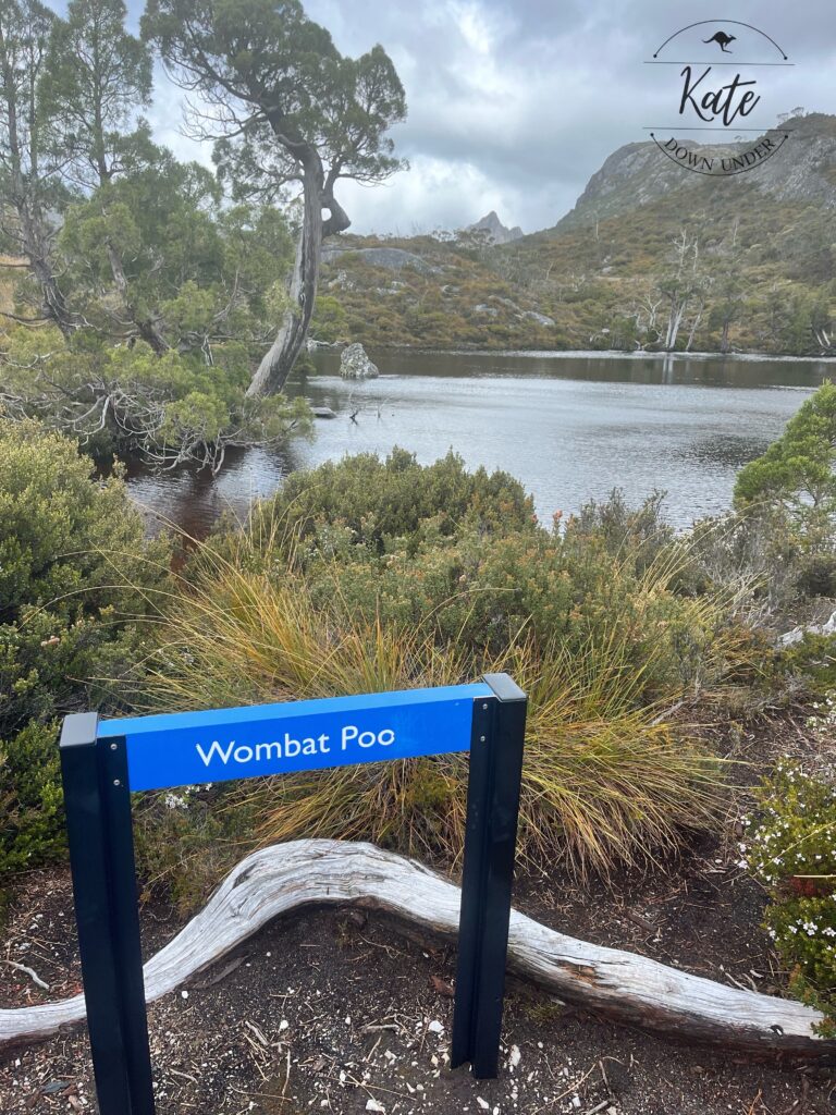 A defaced park sign that reads "Wombat Poo" in front of Wombat Pool at Cradle Mountain National Park