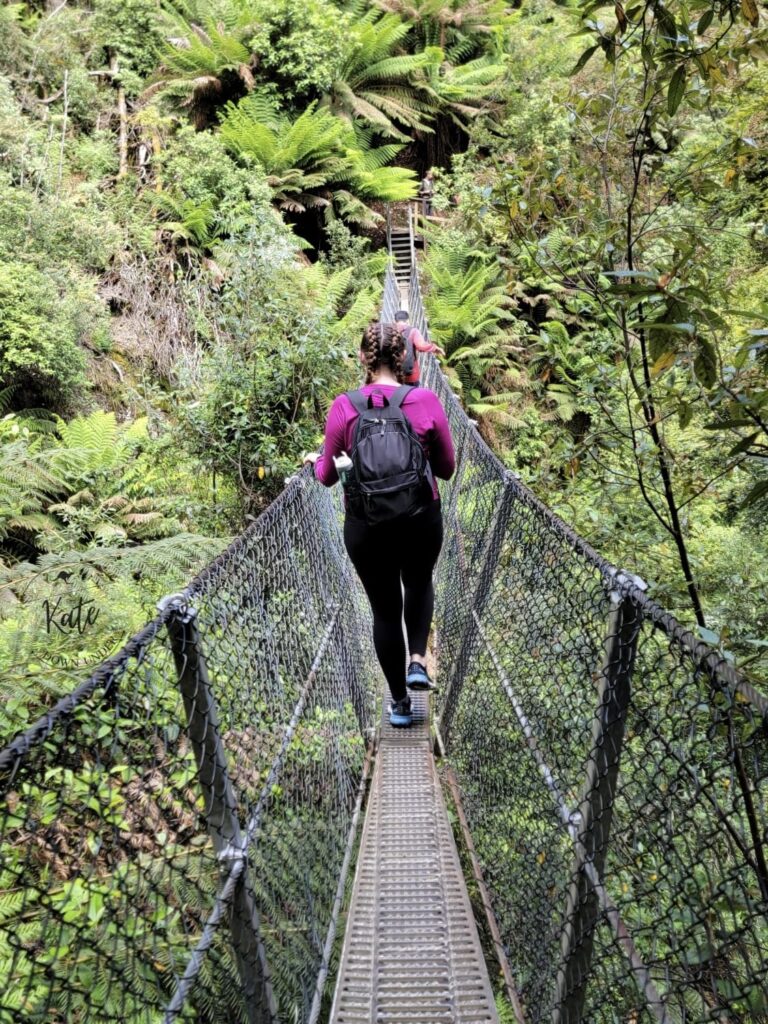 Posterior view of Kate crossing the suspension bridge en route to Montezuma Falls