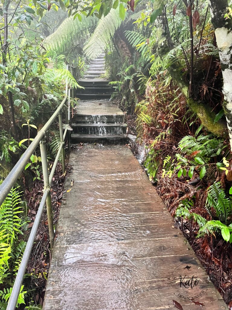 Hiking boardwalk trail washing over with flood water from heavy rains