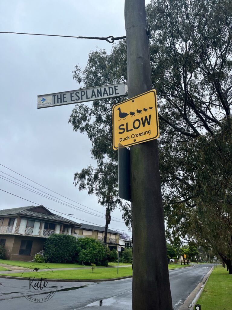 A road sign that reads "slow, ducks crossing" with a mother duck silhouette being followed by four ducklings