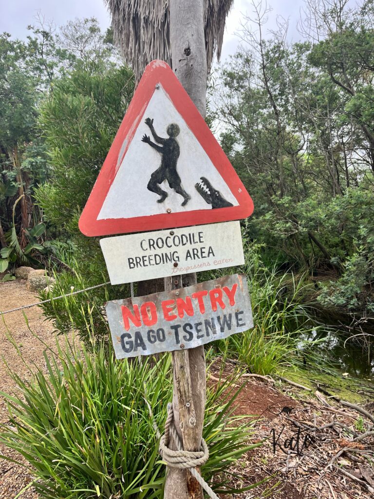 A sign with a tourist running from a crocodile that reads crocodile breeding area'